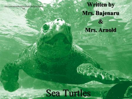 Sea Turtles Written by Mrs. Bajenaru & Mrs. Arnold  tml.