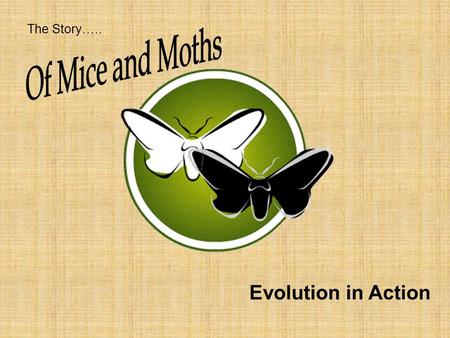 The Story….. Evolution in Action. 19 th century industrial Britain *Increase in pollution, smog and soot. *Tends to stick to things.