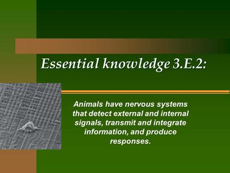 Essential knowledge 3.E.2: Animals have nervous systems that detect external and internal signals, transmit and integrate information, and produce responses.