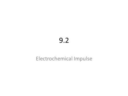 9.2 Electrochemical Impulse. Late 18 th Century: Luigi Galvani  leg muscle of dead frog could be made to twitch under electrical stimulation.