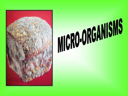 A - MOST CHILDREN WILL … Recognise that there are many very small organisms which can cause illness or decay, or can be used in food production Recognise.