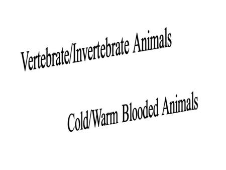 Vertebrate Animals Bones make internal skeleton –Humans –Whales –Dogs –Cats –Monkeys –Jaguars –Bear –Fox –Skunk –Deer.