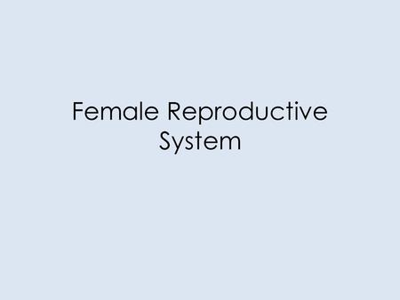 Female Reproductive System