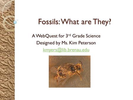 Fossils: What are They? A WebQuest for 3rd Grade Science