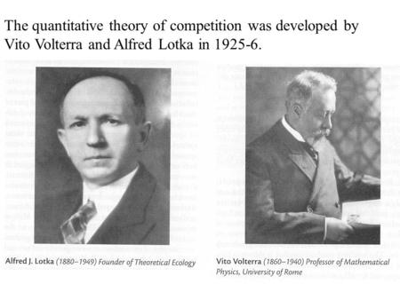 The quantitative theory of competition was developed by Vito Volterra and Alfred Lotka in 1925-6.