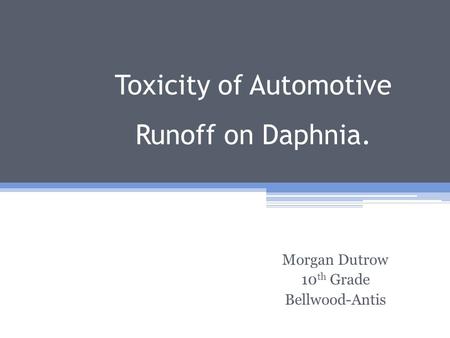 Toxicity of Automotive Runoff on Daphnia. Morgan Dutrow 10 th Grade Bellwood-Antis.