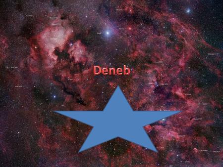 But Deneb may well be the most energetic Deneb is the brightest star in Cygnus It's among the most distant stars visible from Earth at an estimated.