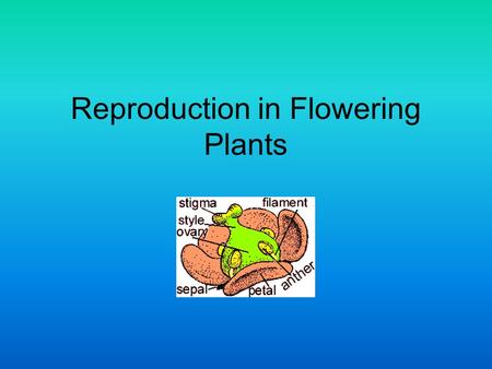 Reproduction in Flowering Plants