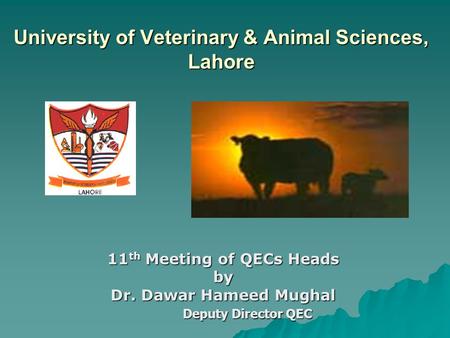 University of Veterinary & Animal Sciences, Lahore 11 th Meeting of QECs Heads by Dr. Dawar Hameed Mughal Deputy Director QEC Deputy Director QEC.