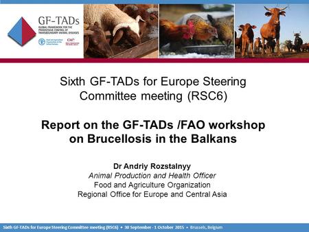 Sixth GF-TADs for Europe Steering Committee meeting (RSC6) 30 September - 1 October 2015 Brussels, Belgium Sixth GF-TADs for Europe Steering Committee.