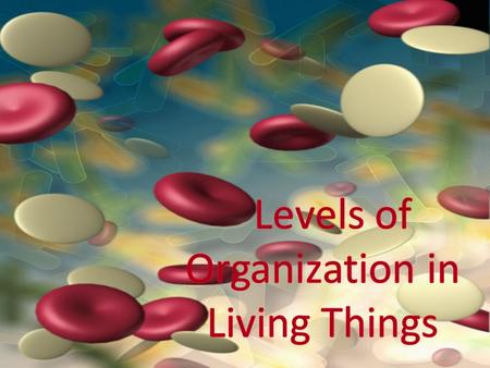 Review: can you list the 3 main ideas in the Cell Theory? A cell is the smallest unit that is capable of performing life functions. All living things.