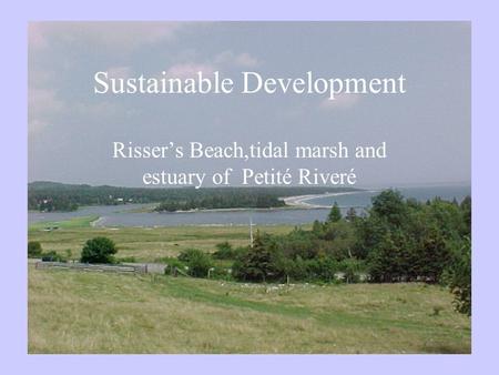 Sustainable Development Risser’s Beach,tidal marsh and estuary of Petité Riveré.