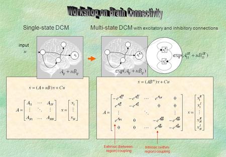 Input Single-state DCM Intrinsic (within- region) coupling Extrinsic (between- region) coupling Multi-state DCM with excitatory and inhibitory connections.