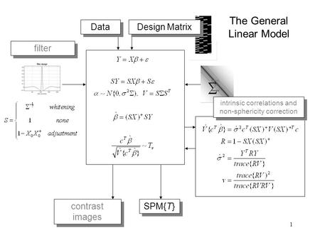 1 Design Matrix intrinsic correlations and non-sphericity correction intrinsic correlations and non-sphericity correction filter Data SPM{T} The General.