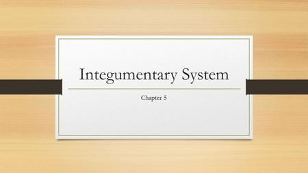 Integumentary System Chapter 5.