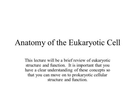 Anatomy of the Eukaryotic Cell This lecture will be a brief review of eukaryotic structure and function. It is important that you have a clear understanding.