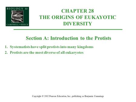 CHAPTER 28 THE ORIGINS OF EUKAYOTIC DIVERSITY Copyright © 2002 Pearson Education, Inc., publishing as Benjamin Cummings Section A: Introduction to the.