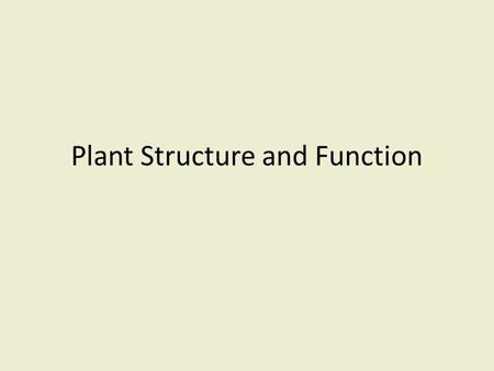 Plant Structure and Function