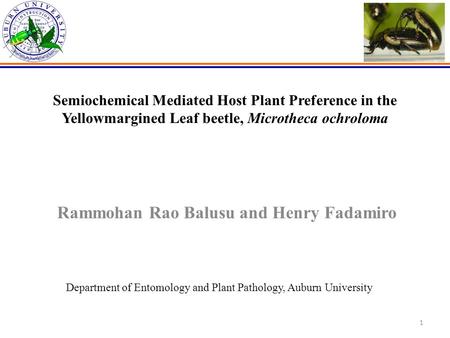 1 Semiochemical Mediated Host Plant Preference in the Yellowmargined Leaf beetle, Microtheca ochroloma Rammohan Rao Balusu and Henry Fadamiro Department.