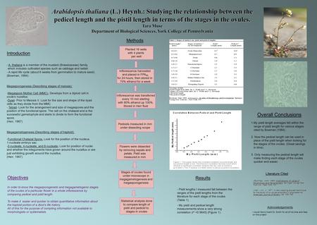 Arabidopsis thaliana (L.) Heynh.: Studying the relationship between the pedicel length and the pistil length in terms of the stages in the ovules. Tara.