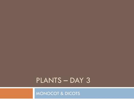 PLANTS – DAY 3 MONOCOT & DICOTS. INTRODUCTION  There are different classes of plants – one of these classes of plants are called ___________________,