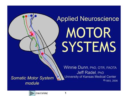 Somatic Motor System module (next slide).