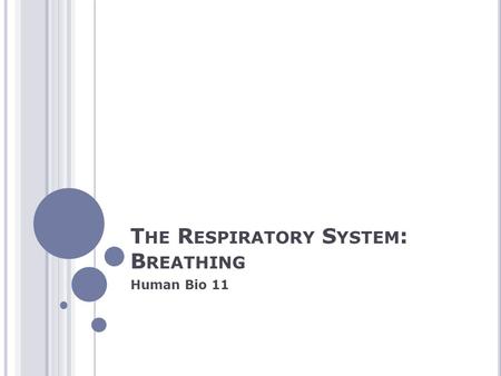 T HE R ESPIRATORY S YSTEM : B REATHING Human Bio 11.