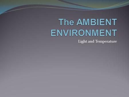 The AMBIENT ENVIRONMENT