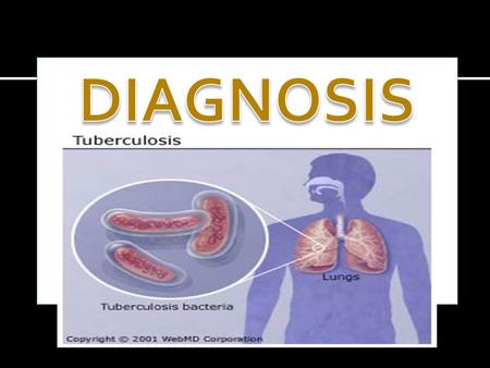 DIAGNOSIS CLINICALLAB LAB DIAGNOSIS 1.PUL TUBERCULOSIS SAMPLE COLLECTION MICROSCOPY CONCENTRATION METHODS CULTURE SENSITIVITY TESTS ANIMAL INOCULATION.