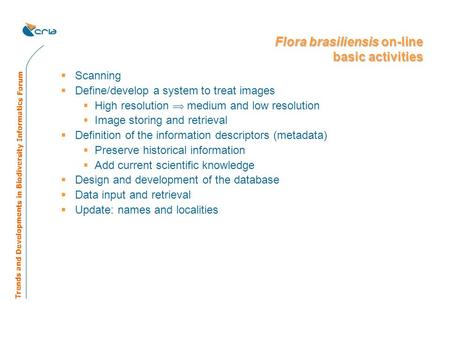 Flora brasiliensis on-line basic activities  Scanning  Define/develop a system to treat images  High resolution  medium and low resolution  Image.