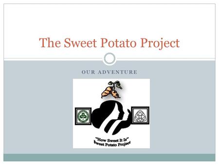 OUR ADVENTURE The Sweet Potato Project. The Idea Before even starting the project all three of us girls and our parents had many meetings. We brainstormed.