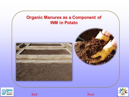 Organic Manures as a Component of INM in Potato NextEnd.