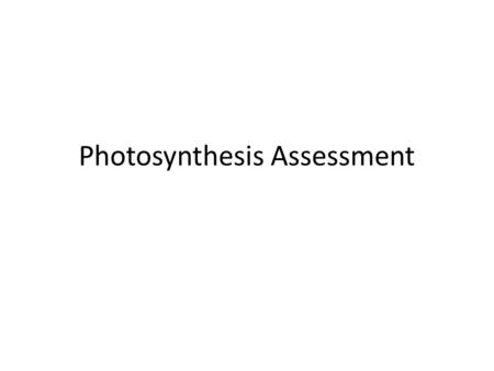 Photosynthesis Assessment