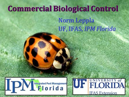 Commercial Biological Control Norm Leppla UF, IFAS, IPM Florida.