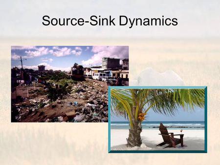 Source-Sink Dynamics. Remember, all landscapes are heterogeneous at some scale Consequently, patch quality is heterogeneous All else being equal, individuals.