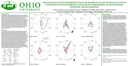 THE INFLUENCE OF SELF-REPORTED LEVELS OF DISABILITY ON TRUNK MUSCLE ACTIVITY IN PARTICIPANTS WITH CHRONIC LOW BACK PAIN PERFORMING MAXIMUM EFFORT ISOMETRIC.