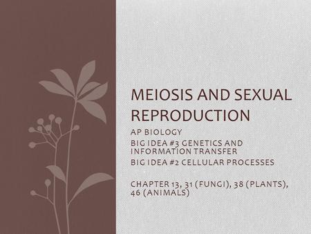 AP BIOLOGY BIG IDEA #3 GENETICS AND INFORMATION TRANSFER BIG IDEA #2 CELLULAR PROCESSES CHAPTER 13, 31 (FUNGI), 38 (PLANTS), 46 (ANIMALS) MEIOSIS AND SEXUAL.