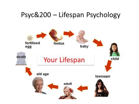 Psyc&200 – Lifespan Psychology Lifespan Your Lifespan.