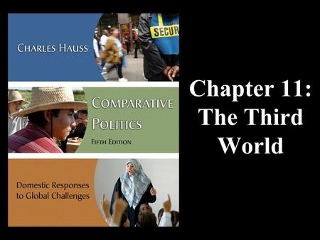 Chapter 11: The Third World. Thinking About The Third World The Basics Poverty Environmental Threats Ethnicity and Conflict Globalization and Structural.