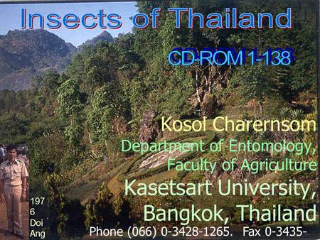 Kosol Charernsom Department of Entomology, Faculty of Agriculture Kasetsart University, Bangkok, Thailand Phone (066) 0-3428-1265. Fax 0-3435- 1881. E-mail: