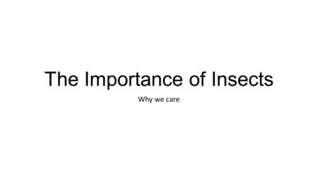 The Importance of Insects Why we care. Beneficial traits: Make food products: Bees Are edible: Grasshoppers, Beetles, Ants Pollinate flowers: Bees, wasps,