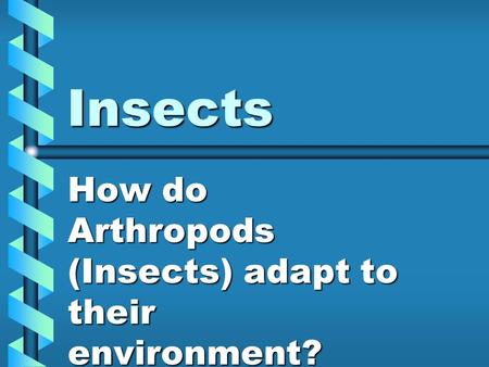 Insects How do Arthropods (Insects) adapt to their environment?