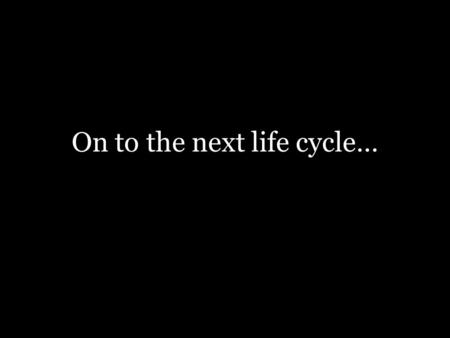 On to the next life cycle…. What is a life cycle? Series of events that occur over an animal or plant’s lifetime. These are changes that we can see and.