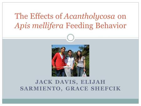 JACK DAVIS, ELIJAH SARMIENTO, GRACE SHEFCIK The Effects of Acantholycosa on Apis mellifera Feeding Behavior.