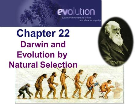 Evolution by Natural Selection