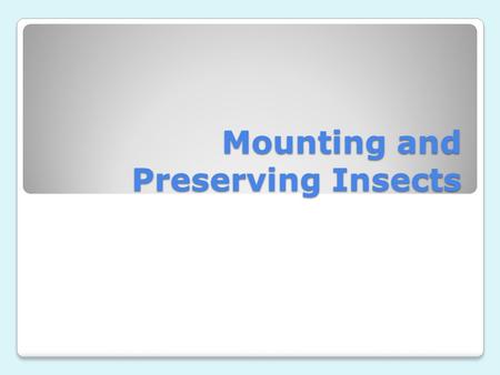 Mounting and Preserving Insects