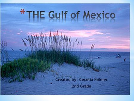 Created by: Cecelia Fulmer 2nd Grade. * The Gulf of Mexico, the ninth largest body of water in the world. * The Gulf is bordered by the United States.