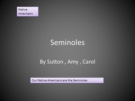 Seminoles By Sutton, Amy, Carol Native Americans Our Native Americans are the Seminoles.