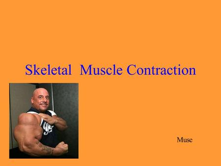 Skeletal Muscle Contraction