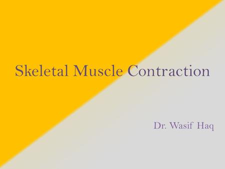 Skeletal Muscle Contraction